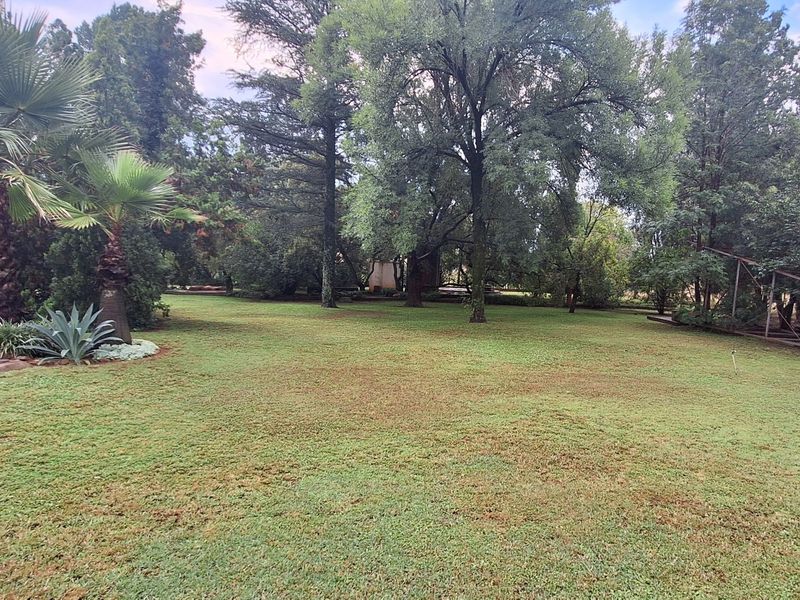 A spacious, well-established garden featuring mature trees, palm specimens, and a large lawn area with an existing metal structure.