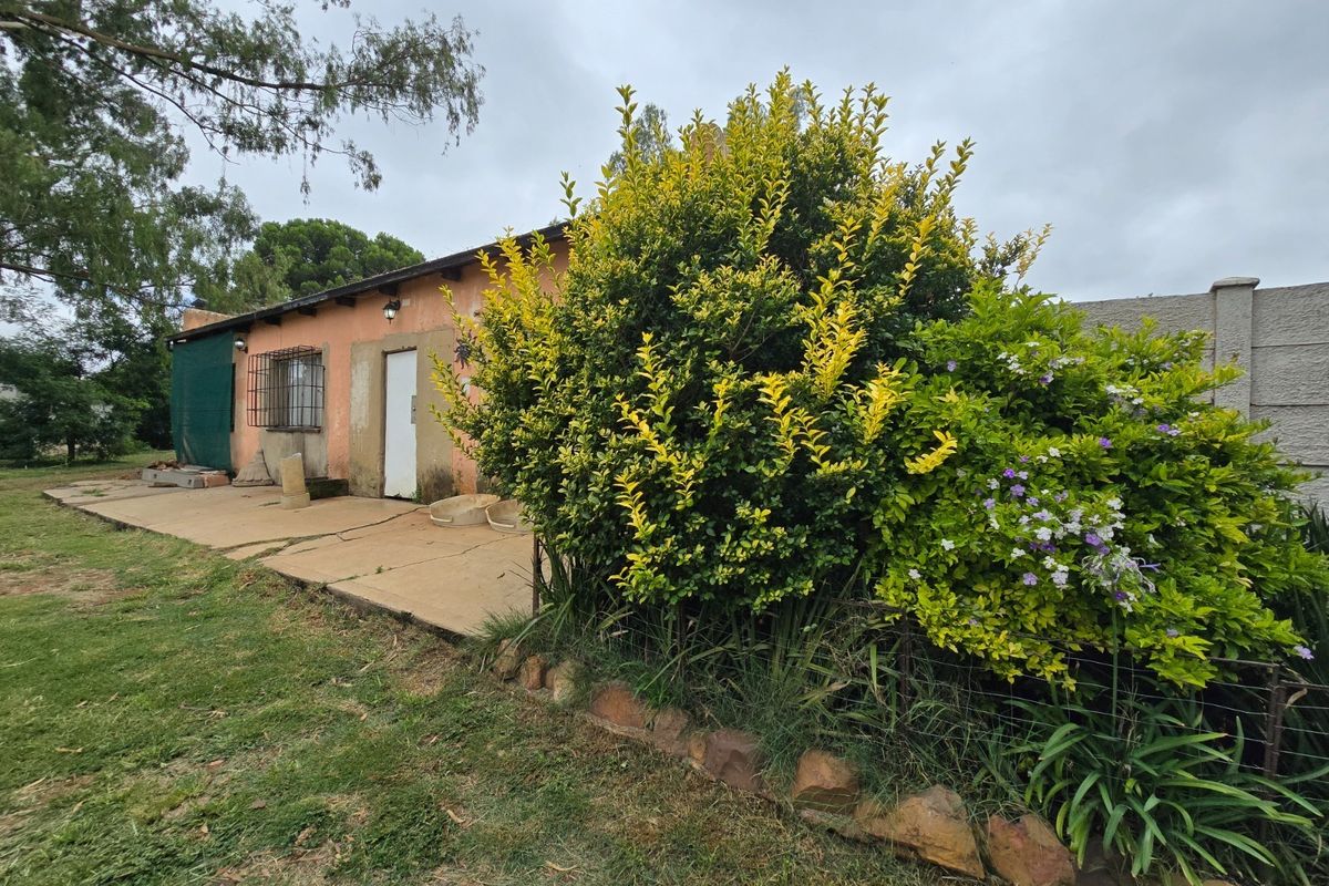 Rear view of the property featuring a concrete patio area, established garden landscaping, and a boundary wall.