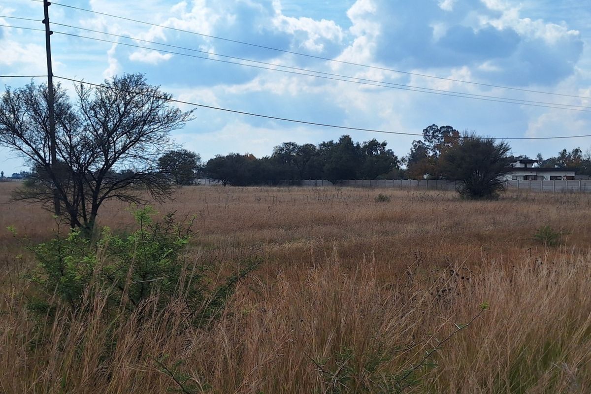 A view of a vacant residential plot featuring dry grass, mature trees, and a perimeter wall with overhead power lines.