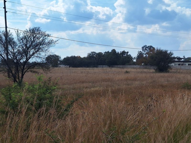 A view of a vacant residential plot featuring dry grass, mature trees, and a perimeter wall with overhead power lines.