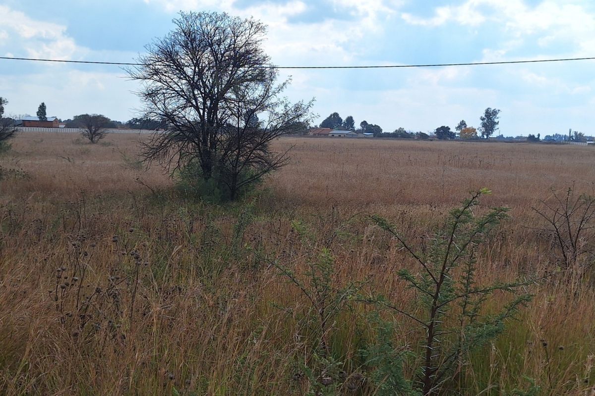 A wide, open vacant residential plot featuring natural grass, mature trees, and overhead power lines, offering a blank canvas for development.