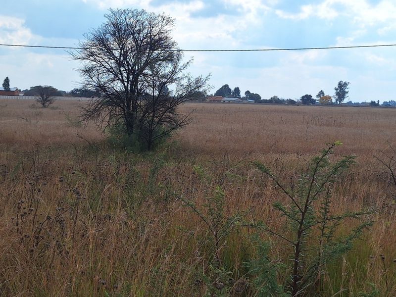 A wide, open vacant residential plot featuring natural grass, mature trees, and overhead power lines, offering a blank canvas for development.