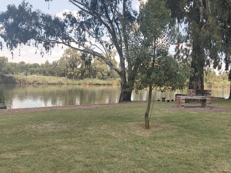 A scenic view of a tranquil lakefront property featuring a built-in brick braai area, expansive lawn, and mature trees.