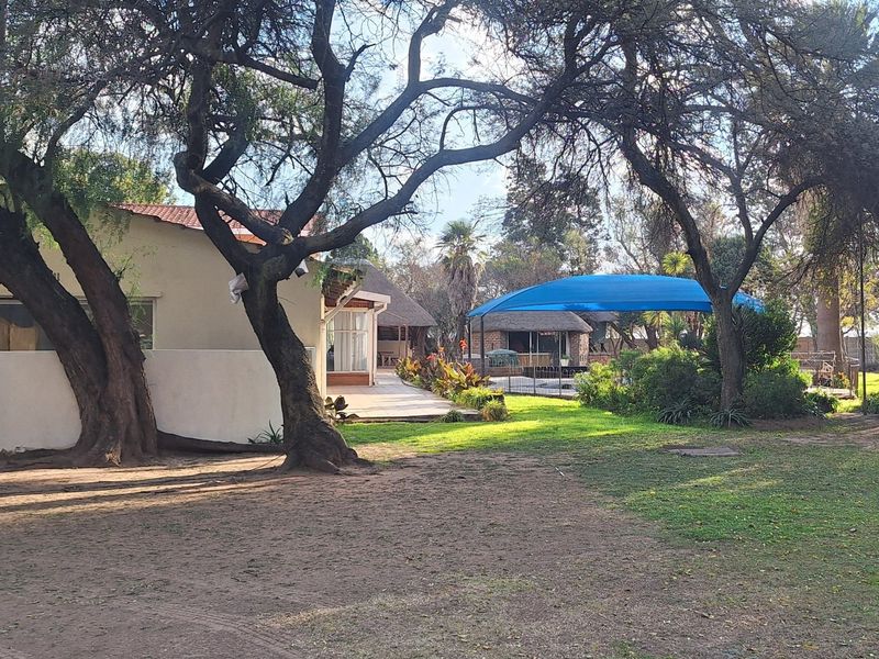 A spacious rear garden area featuring mature trees, a tiled patio, and a shaded outdoor entertainment space with a thatched roof.