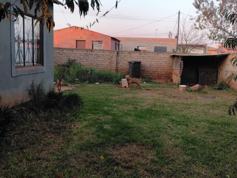 A rear garden area featuring a perimeter brick wall, a small corrugated metal shed, and a grass lawn.