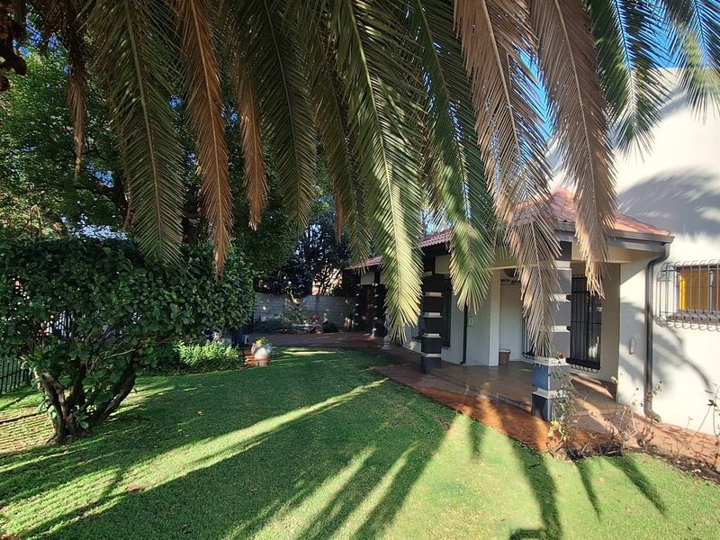 A view of the rear garden featuring a covered patio area, established palm tree, and secure window treatments.