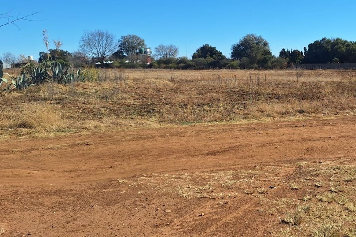 A wide-angle view of the open land on the small holding, featuring a dirt access road, natural vegetation, and established trees along the boundary.