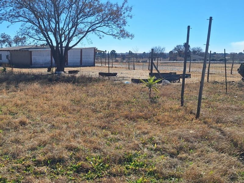 Expansive outdoor small holding area featuring wire fencing, mature trees, and a view of the main dwelling structure.
