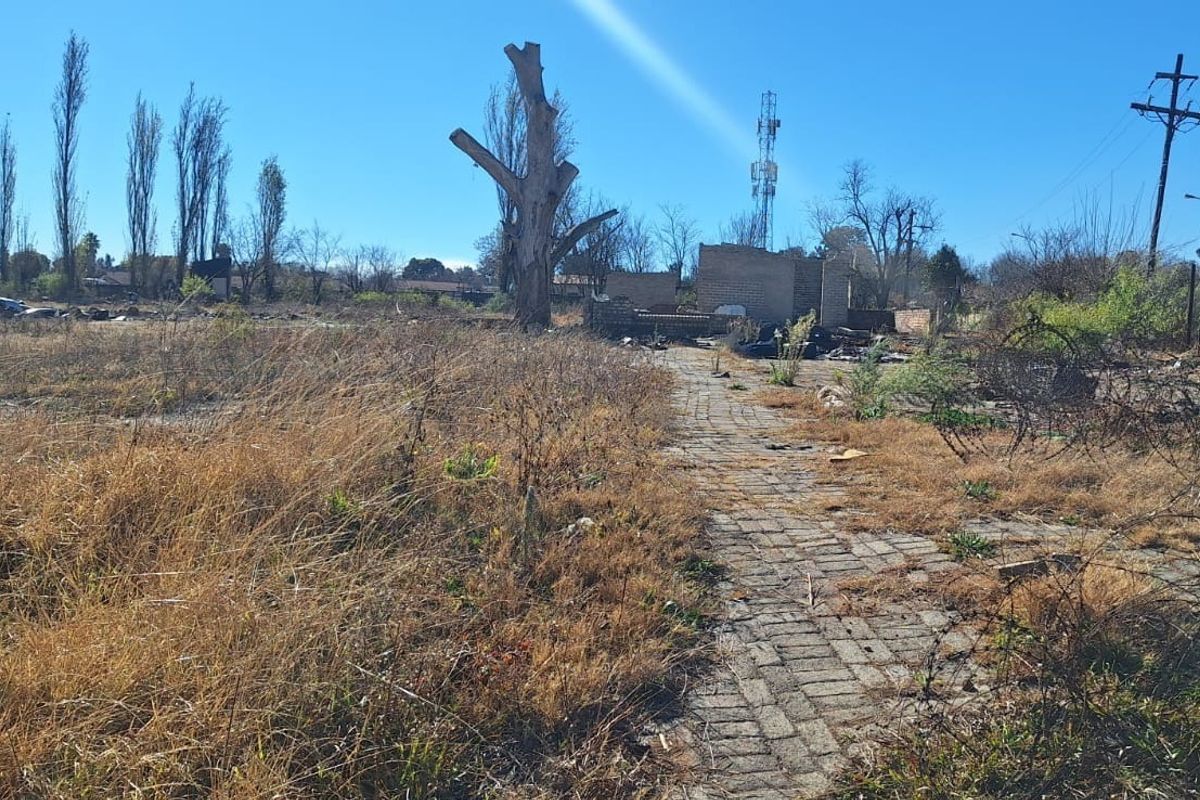 A view of a neglected small holding plot featuring overgrown land, a paved walkway, and the remnants of a brick structure.