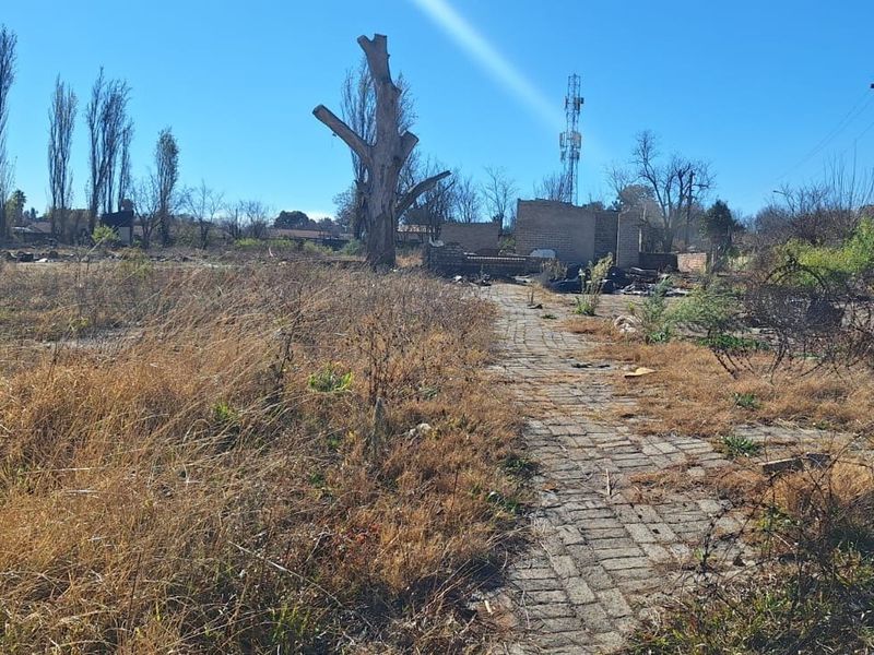 A view of a neglected small holding plot featuring overgrown land, a paved walkway, and the remnants of a brick structure.