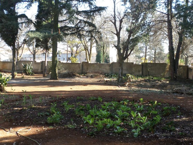 A spacious backyard garden featuring mature trees and a perimeter wall, offering significant potential for landscaping and outdoor development.