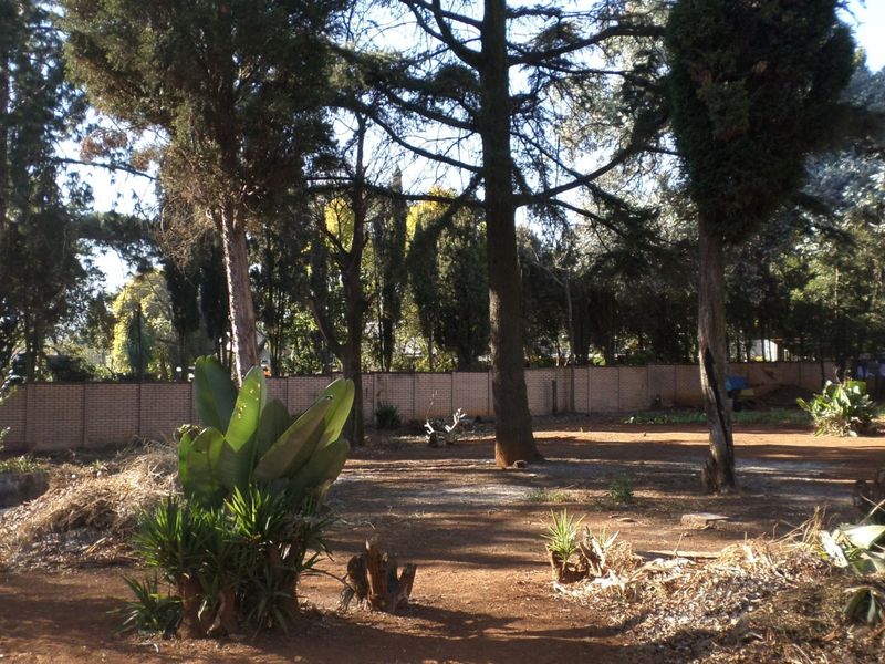 A spacious backyard featuring mature trees and a brick boundary wall, offering significant potential for landscaping and outdoor development.