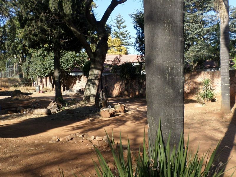 A large, unlandscaped garden area featuring mature trees and a brick boundary wall, currently requiring significant clearing and maintenance.