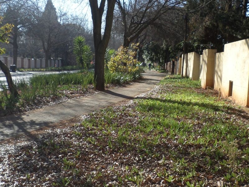 A view of the street frontage featuring a paved pedestrian walkway, mature trees, and a long boundary wall along the property perimeter.