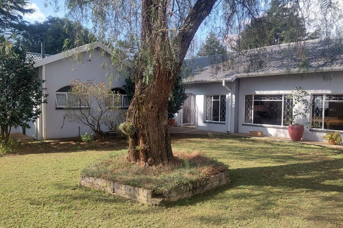 A view of the rear garden featuring a mature tree with a stone planter, paved patio area, and the rear facade of the house.
