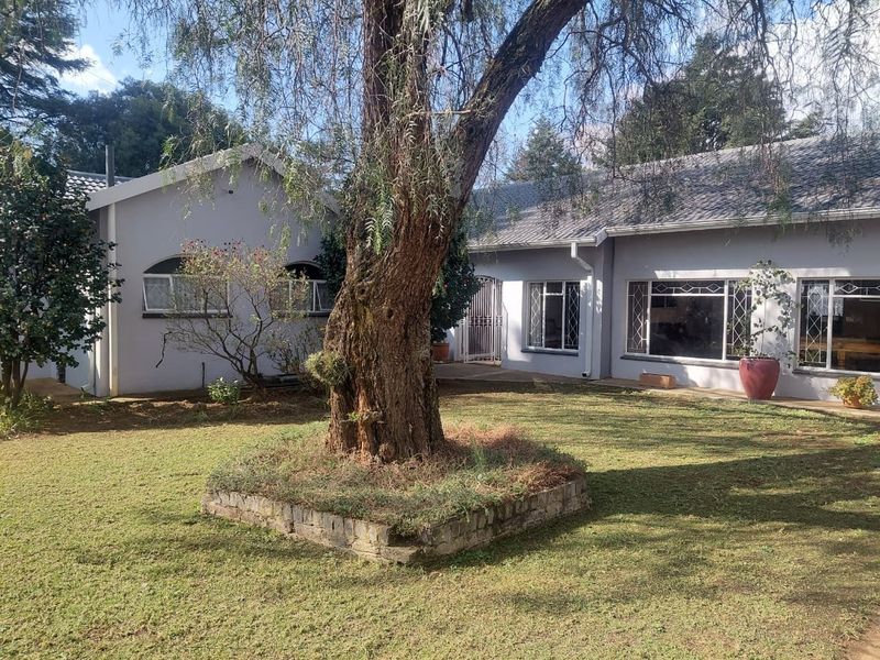 A view of the rear garden featuring a mature tree with a stone planter, paved patio area, and the rear facade of the house.