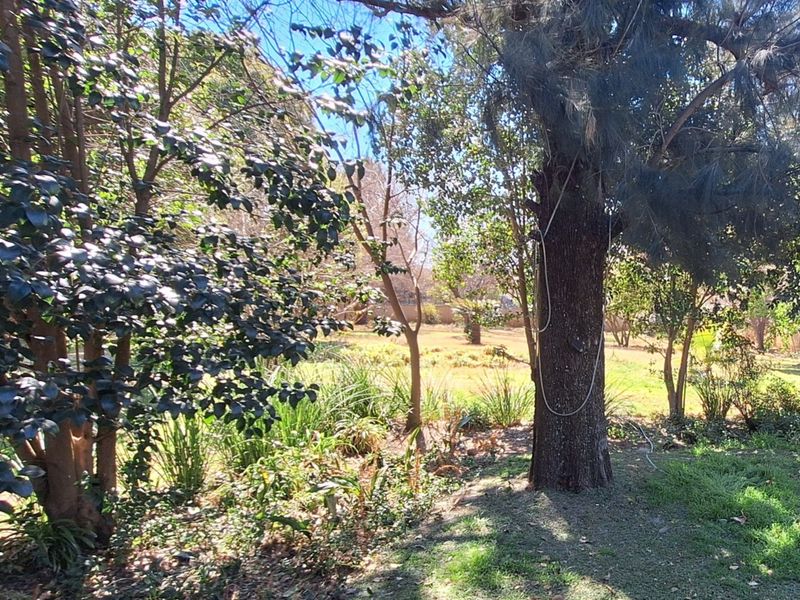 A spacious garden area featuring mature trees and established lawn, offering a natural and tranquil outdoor setting.