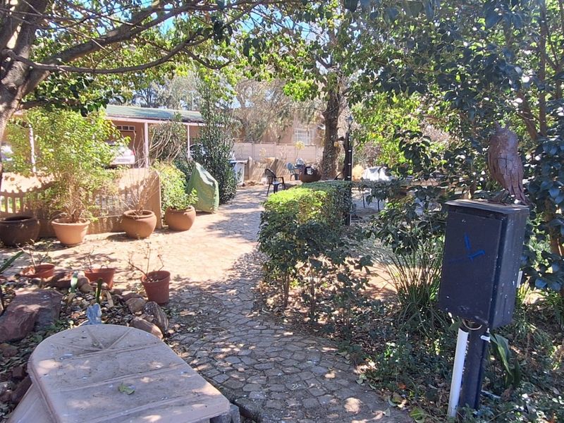 A mature garden area featuring a paved walkway, established trees, and hedging, providing a shaded outdoor space on the small holding.