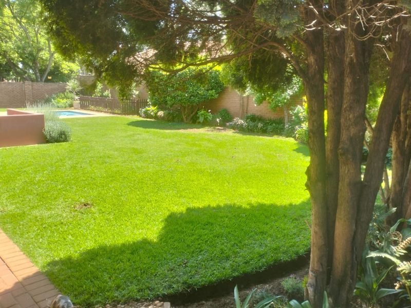 A well-maintained private garden featuring a lush green lawn, mature trees, a paved walkway, and a swimming pool enclosed by a brick boundary wall.