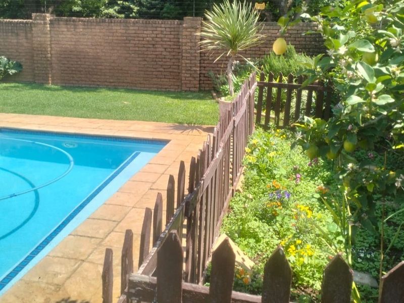 A private outdoor pool area featuring a paved surround, a picket fence enclosure, and a brick boundary wall with established garden landscaping.