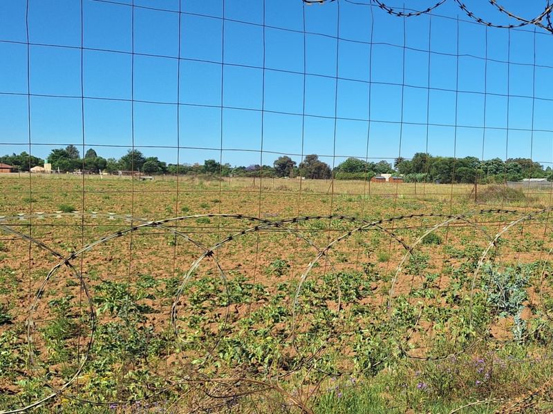An expansive open field on a small holding, secured by wire mesh fencing topped with razor wire.
