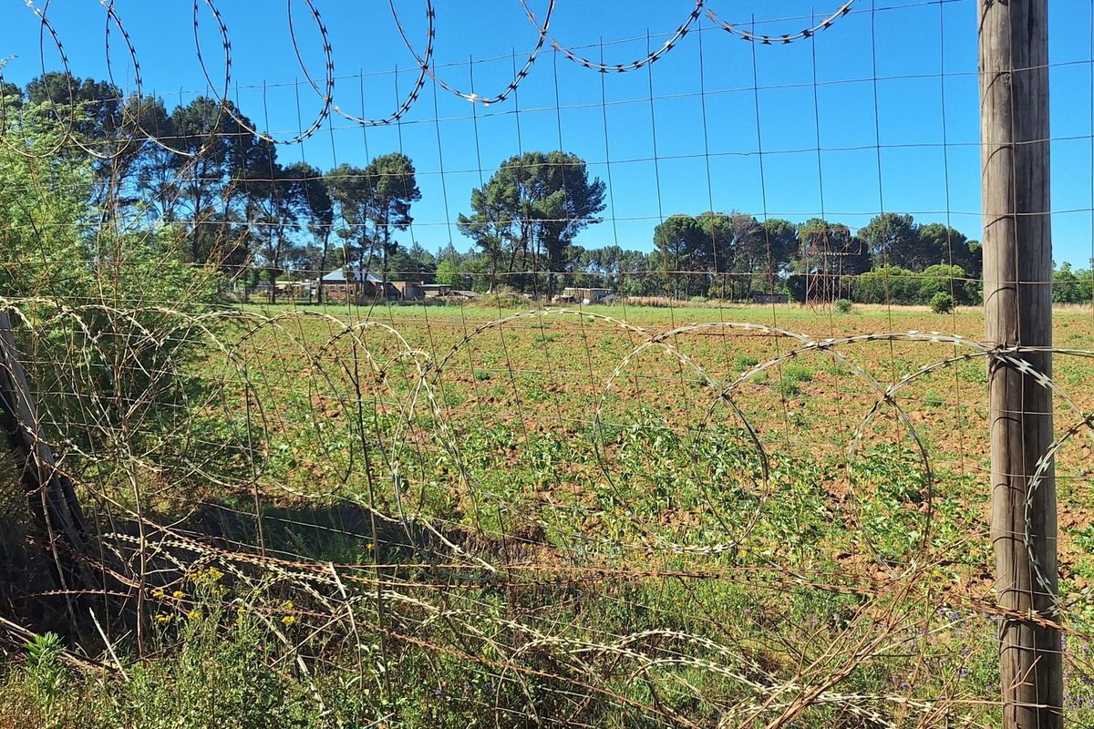 A view of the open land on the small holding, secured by a wire mesh fence topped with razor wire.