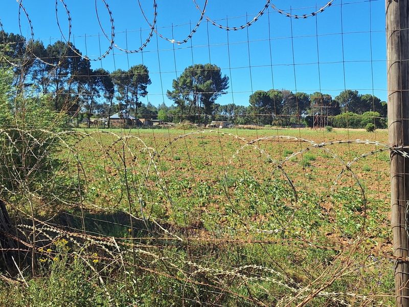A view of the open land on the small holding, secured by a wire mesh fence topped with razor wire.