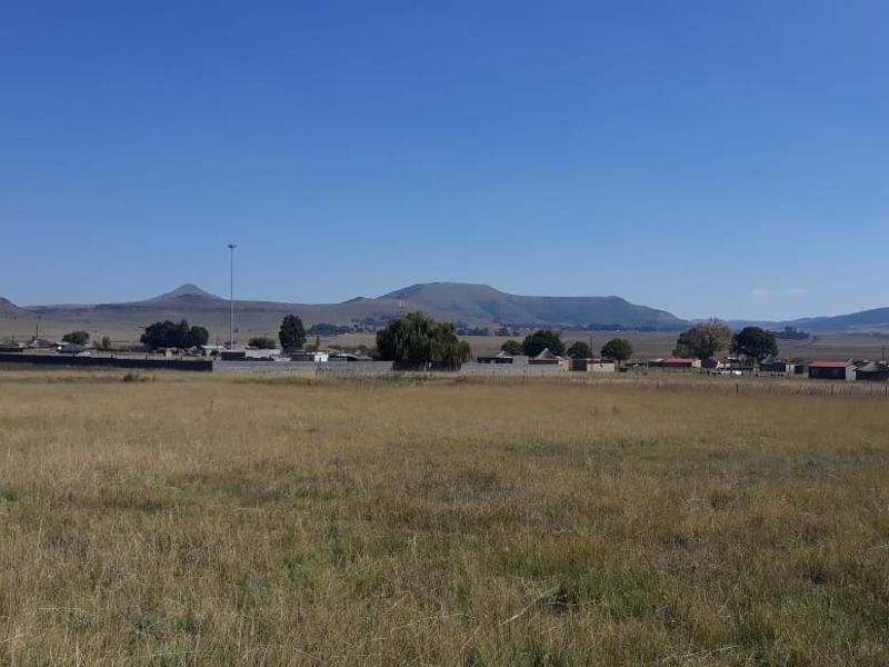 LEVEL VACANT STAND - Photo 2