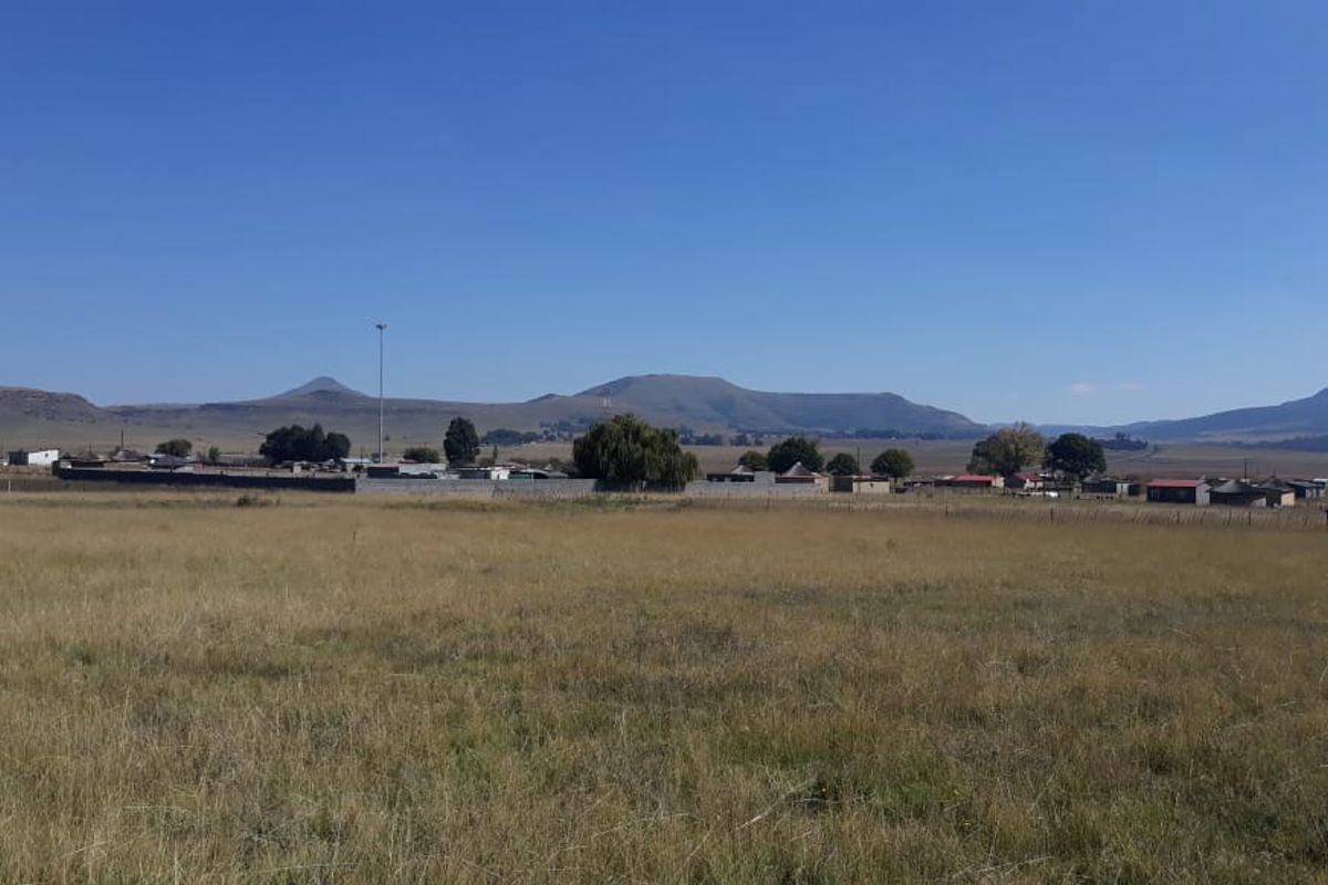 LEVEL VACANT STAND - Photo 2