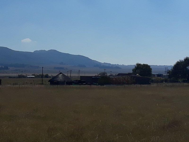 LEVEL VACANT STAND - Photo 3