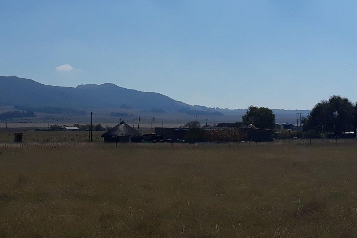 LEVEL VACANT STAND - Photo 3