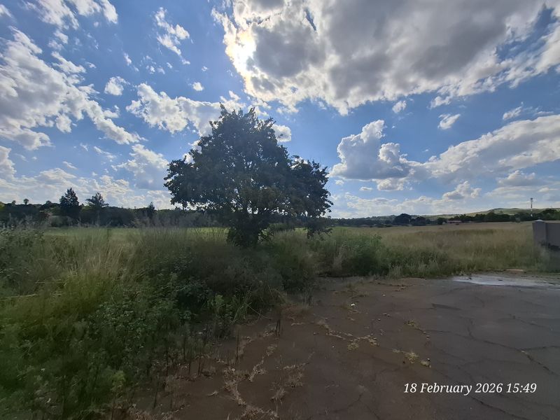 Build Big. Live Bold. Prime Vacant Land in Pioneer Park! - Photo 9