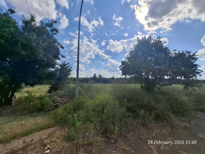 Build Big. Live Bold. Prime Vacant Land in Pioneer Park! - Photo 8