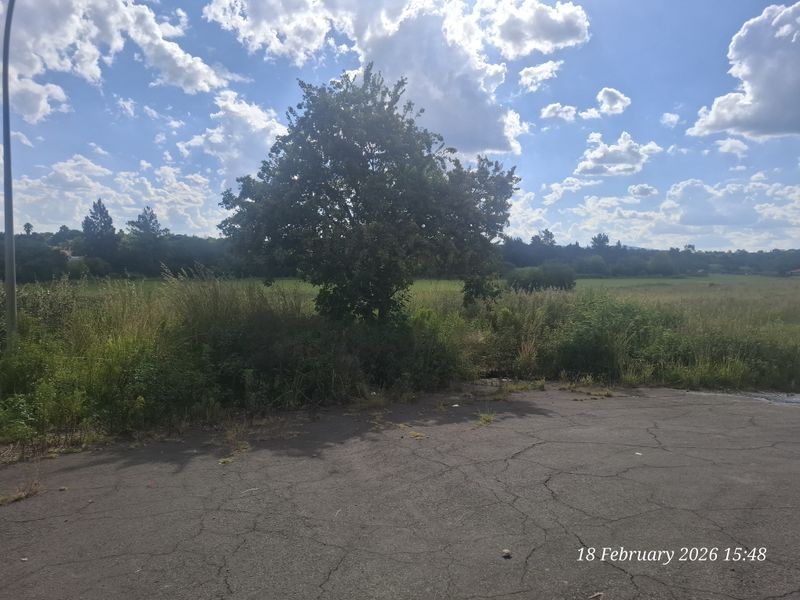 Build Big. Live Bold. Prime Vacant Land in Pioneer Park! - Photo 5