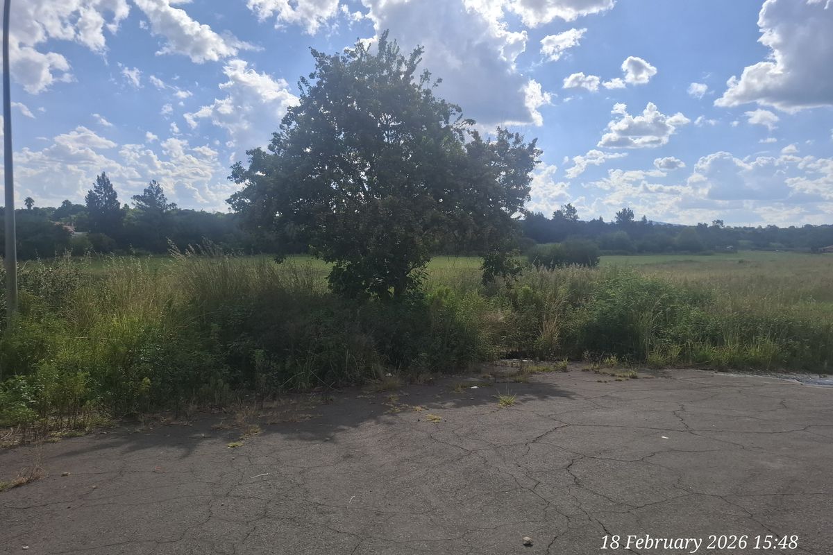 Build Big. Live Bold. Prime Vacant Land in Pioneer Park! - Photo 5