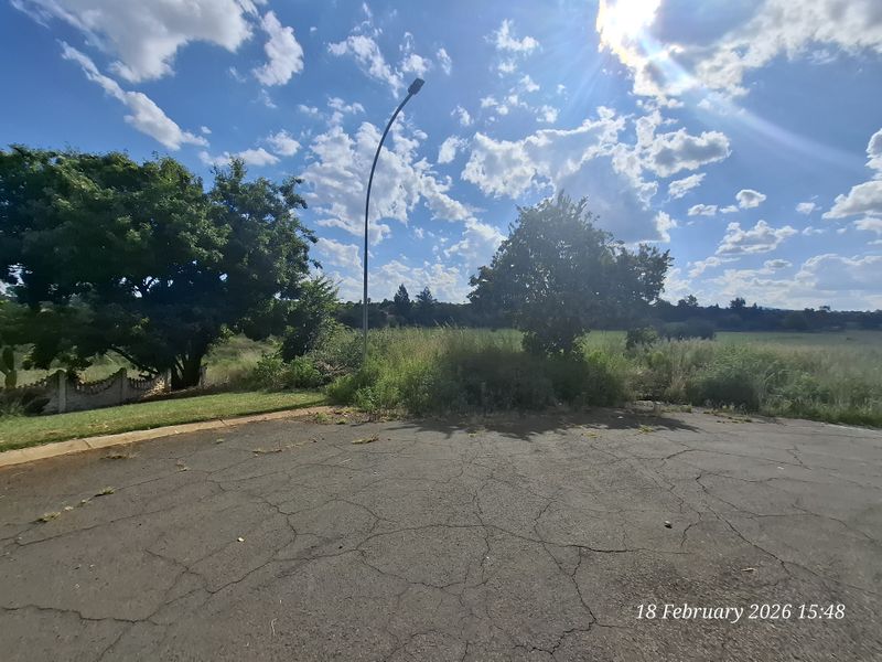 Build Big. Live Bold. Prime Vacant Land in Pioneer Park! - Photo 3