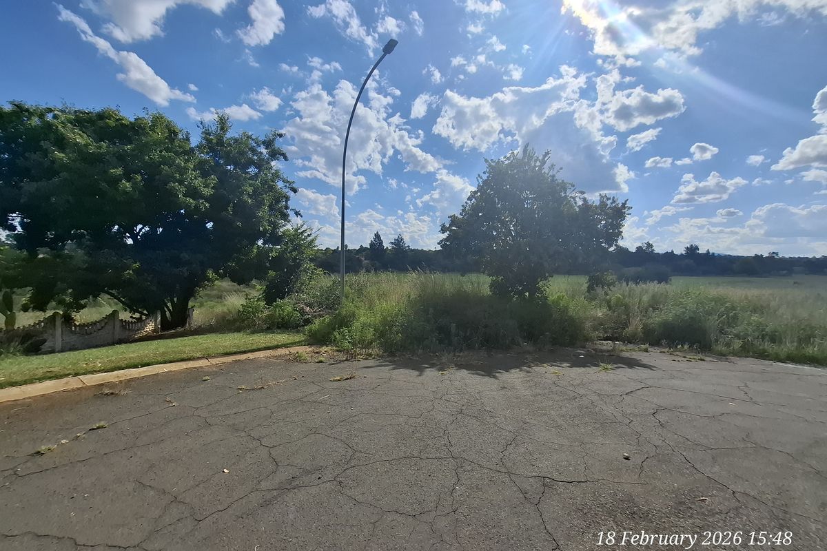 Build Big. Live Bold. Prime Vacant Land in Pioneer Park! - Photo 3