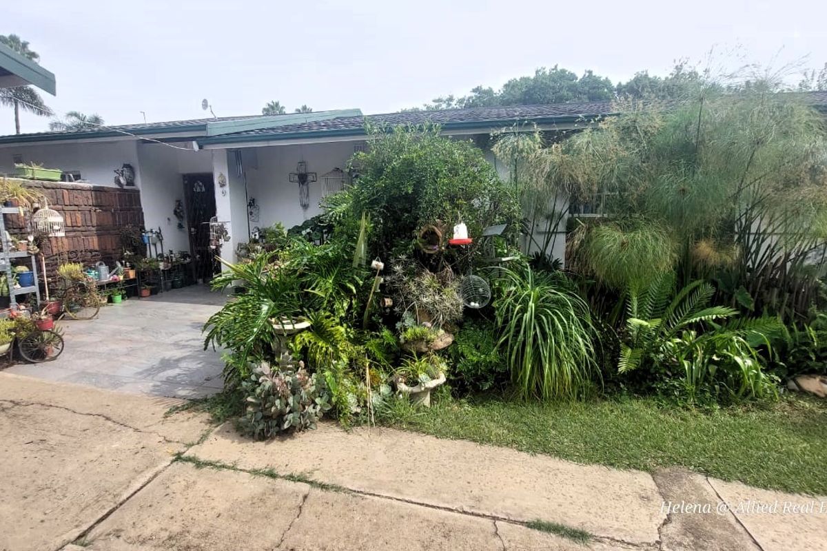 Charming and Spacious Home in Arbor Park - Photo 4