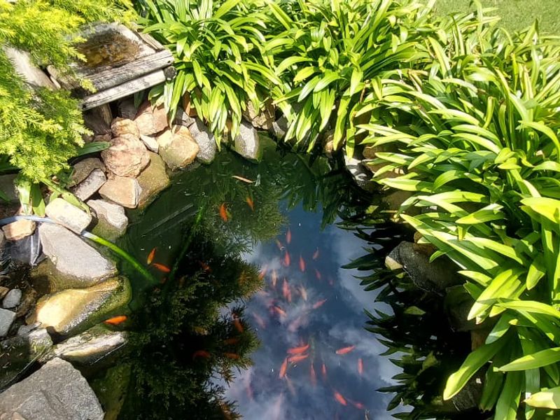 Stunning 3-Bedroom Home with 2-Bedroom Granny Cottage – Move-In Ready! - Photo 3