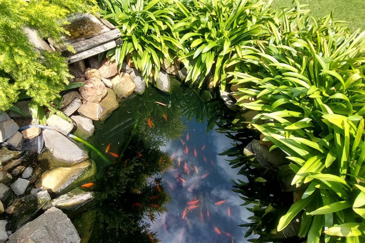 Stunning 3-Bedroom Home with 2-Bedroom Granny Cottage – Move-In Ready! - Photo 3