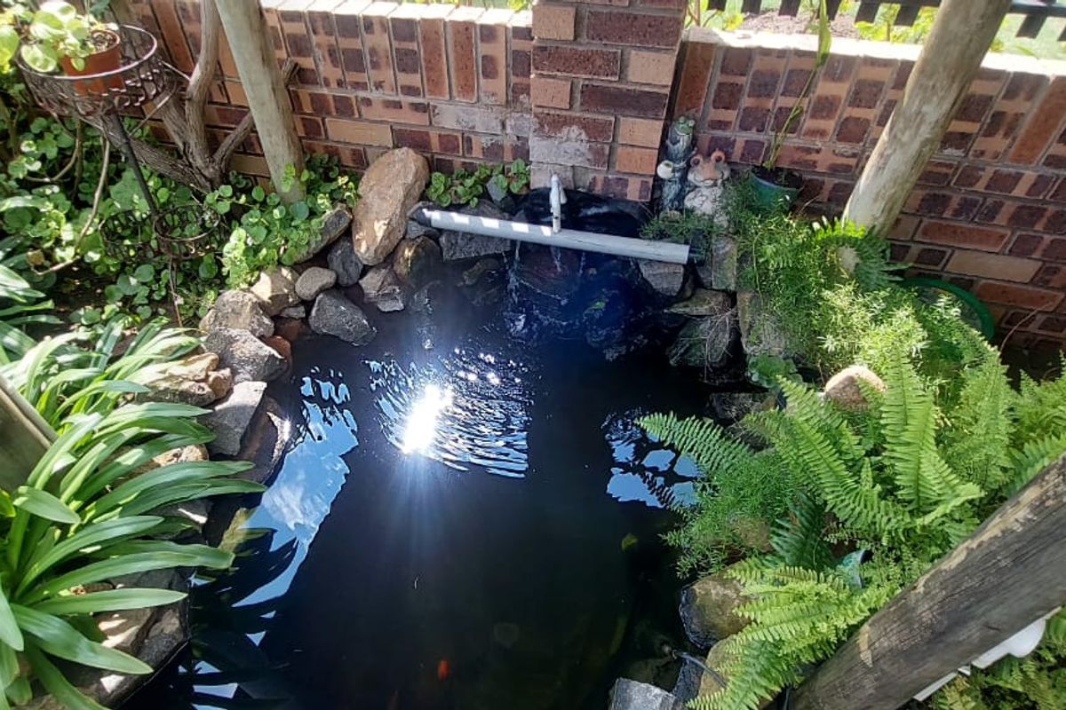 Stunning 3-Bedroom Home with 2-Bedroom Granny Cottage – Move-In Ready! - Photo 4