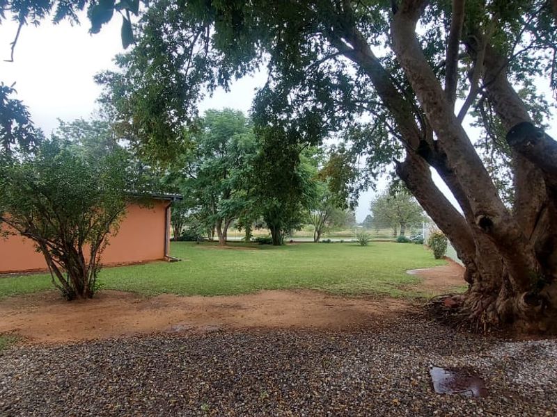 Imagine Coming Home to this Gorgeous 4 Bedroom House! - Photo 3