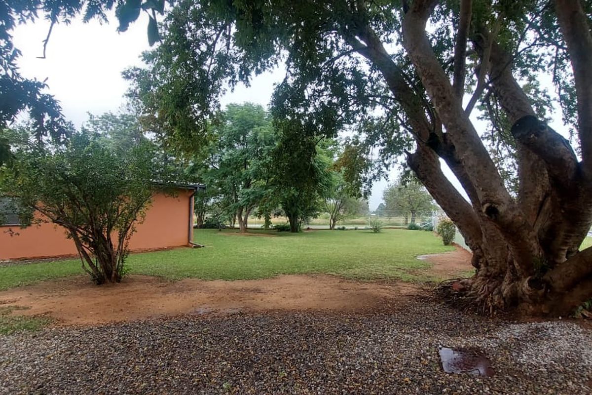 Imagine Coming Home to this Gorgeous 4 Bedroom House! - Photo 3