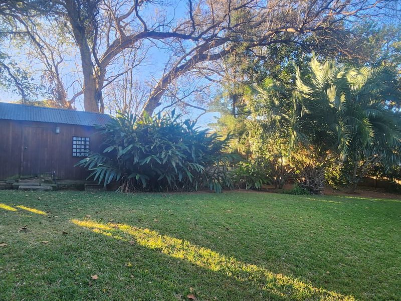 A spacious garden area featuring a timber shed with a corrugated metal roof, surrounded by mature trees and established landscaping.