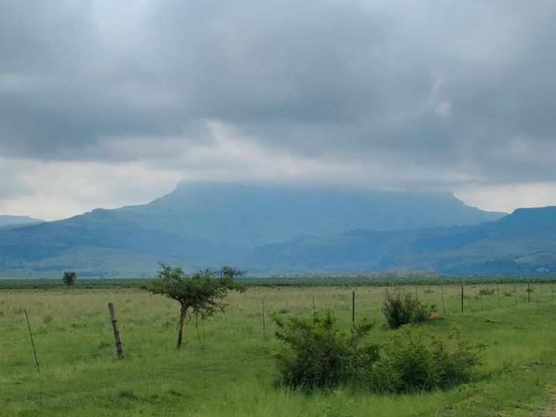 Expansive view of open grassland and distant mountain ranges, featuring simple wire perimeter fencing.