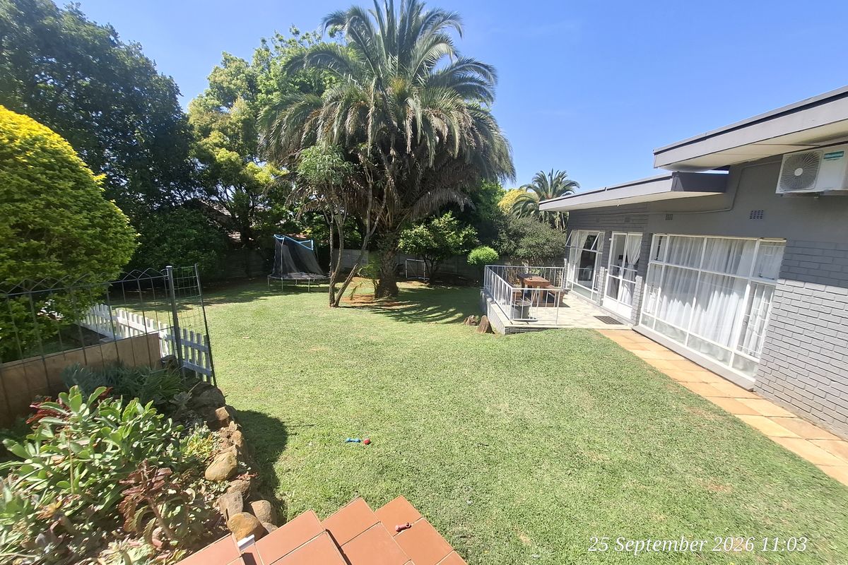 A spacious rear garden featuring a paved patio area, established palm tree, and brick exterior wall with an integrated air conditioning unit.