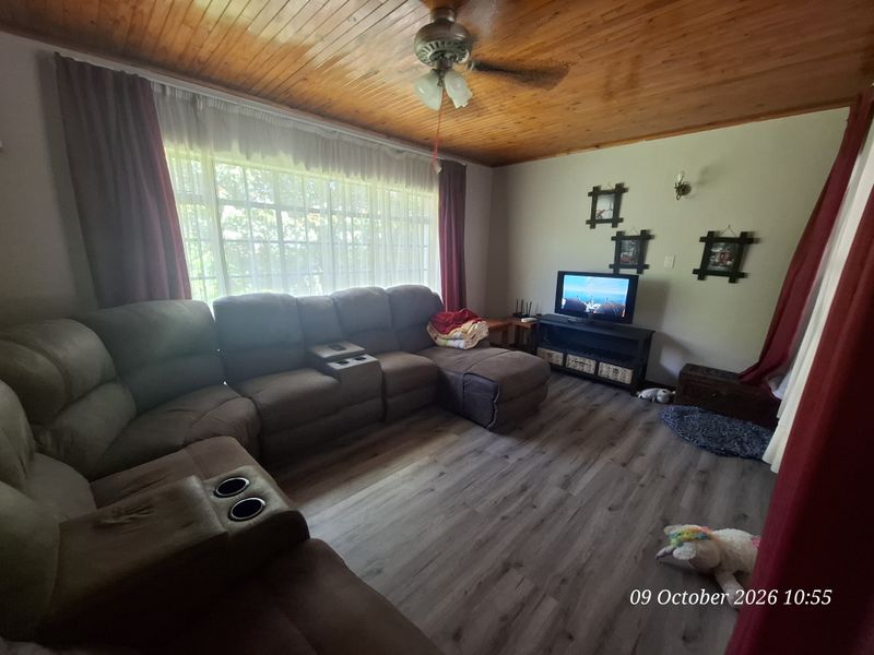 A comfortable living room featuring a warm timber-paneled ceiling, a central ceiling fan, and modern laminate flooring.