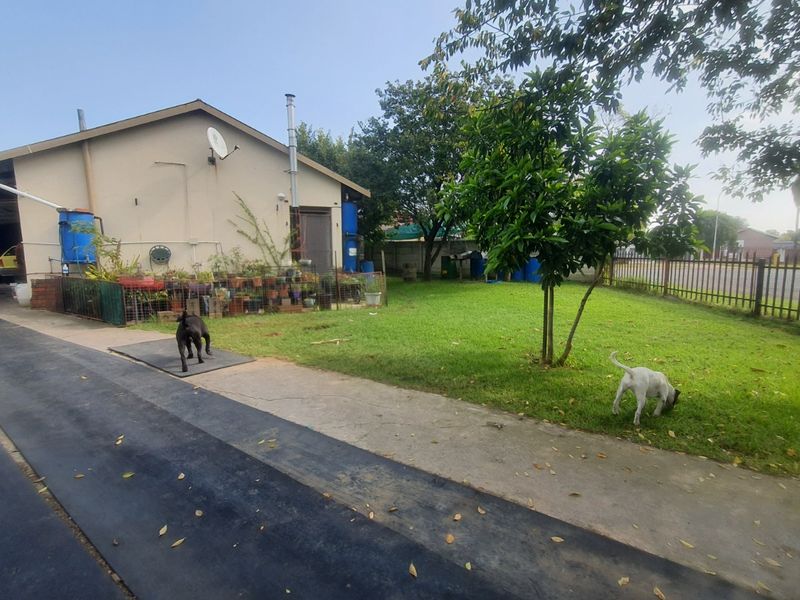 Solid Starter in Arbor Park – Space, Parking & Great Potential - Photo 3
