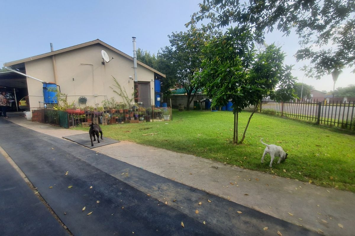 Solid Starter in Arbor Park – Space, Parking & Great Potential - Photo 3