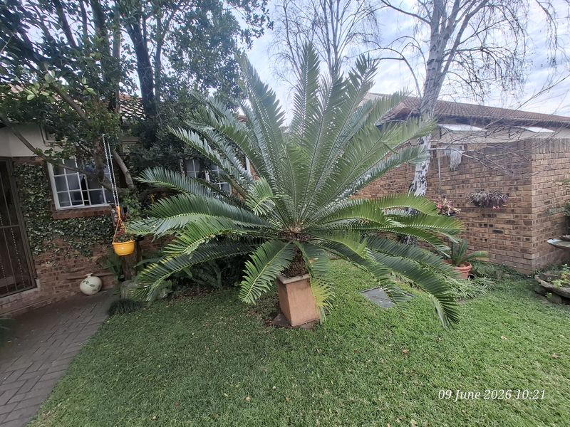 Secure, Spacious & Surprisingly Versatile – A Hidden Gem in Upper Pioneer Park - Photo 2